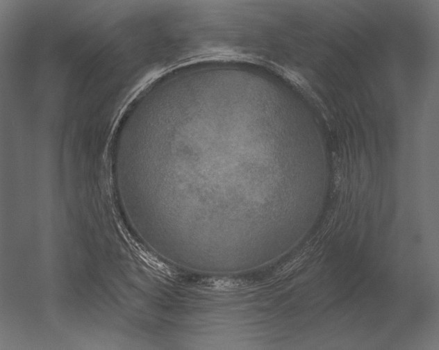 X0000051261318200507011708