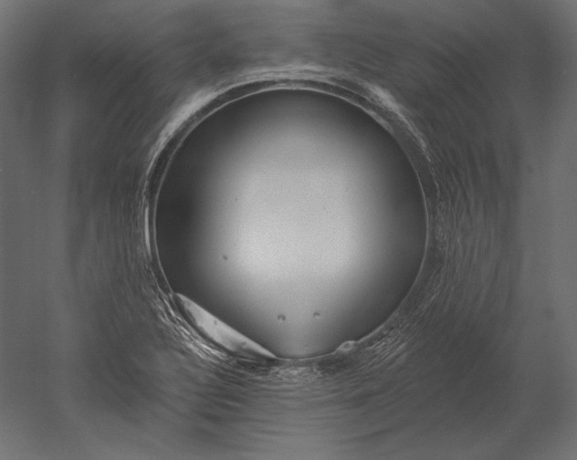 X0000051261320200507011708