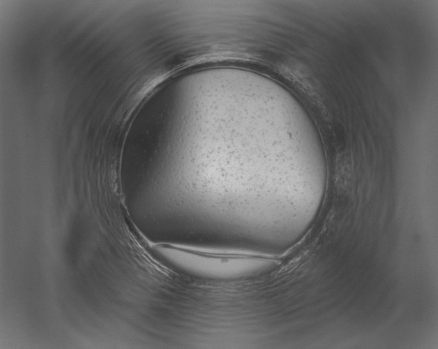 X0000051261321200507011708