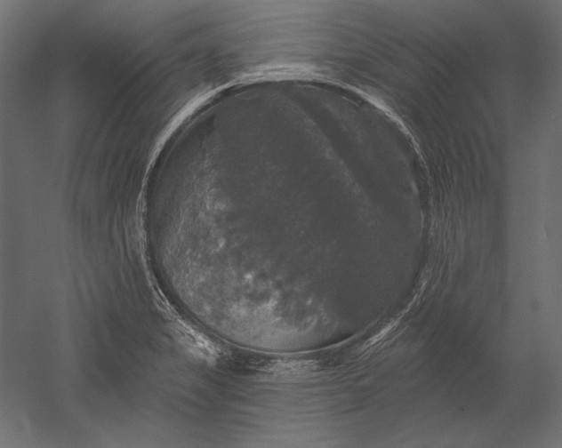 X0000051261325200507011708