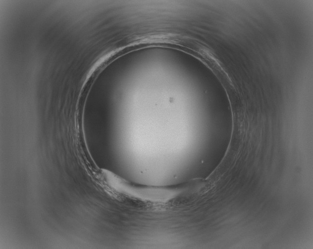 X0000051261328200507011708