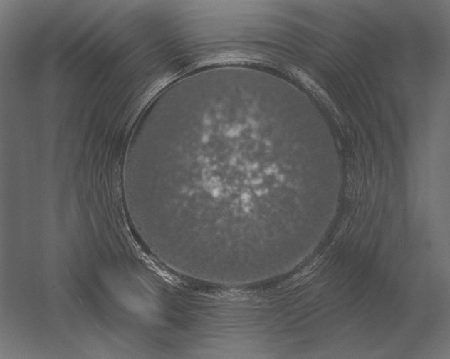 X0000051261329200507011708