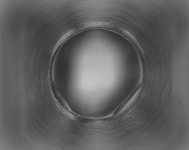 X0000051261330200507011708