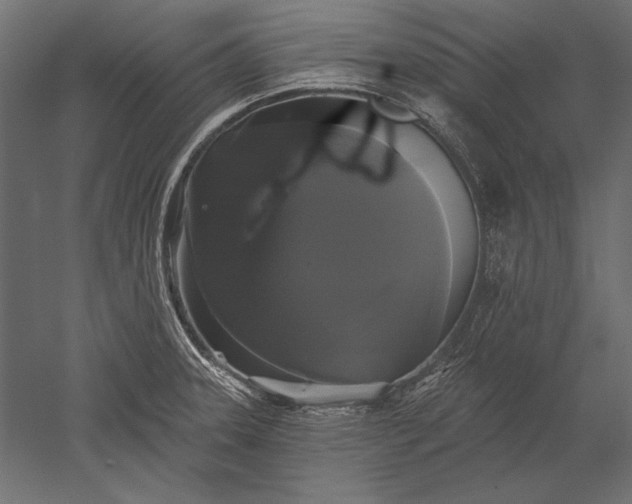 X0000051261331200507011708