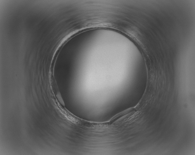 X0000051261332200507011708