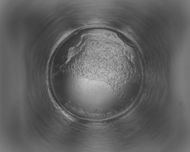X0000051261333200507011708