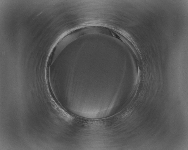 X0000051261334200507011708