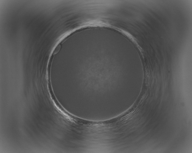 X0000051261335200507011708