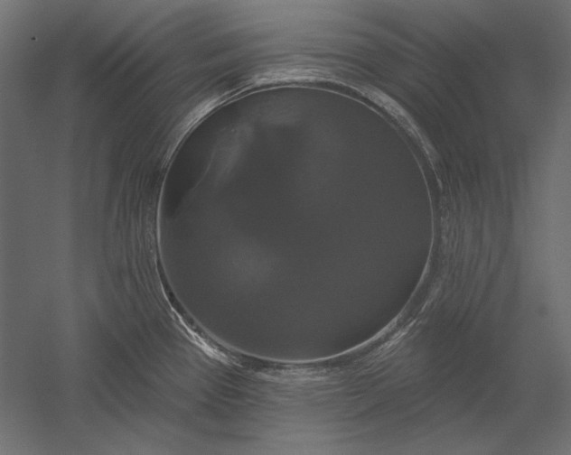 X0000051261337200507011708
