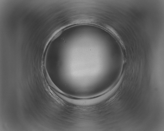 X0000051261340200507011708