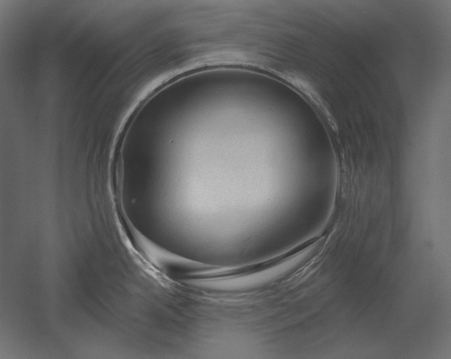 X0000051261342200507011708