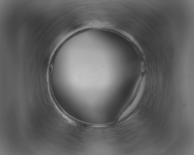 X0000051261343200507011708