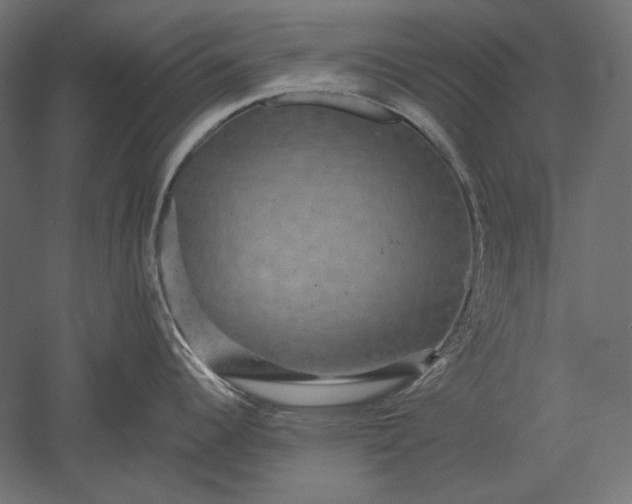 X0000051261344200507011708