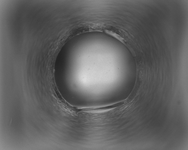 X0000051261345200507011708