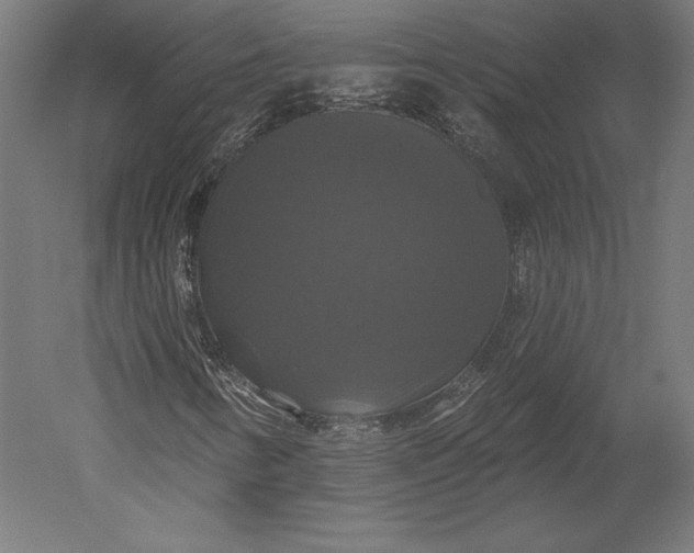 X0000051261346200507011708