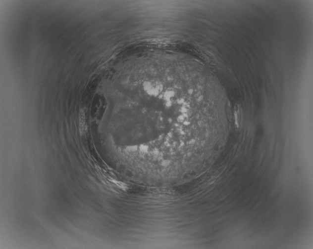 X0000051261347200507011708