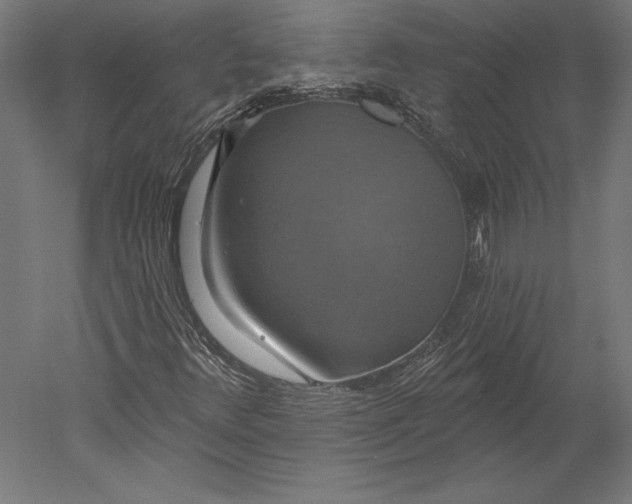 X0000051261348200507011708