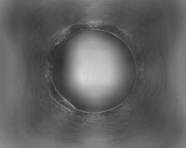 X0000051261349200507011708