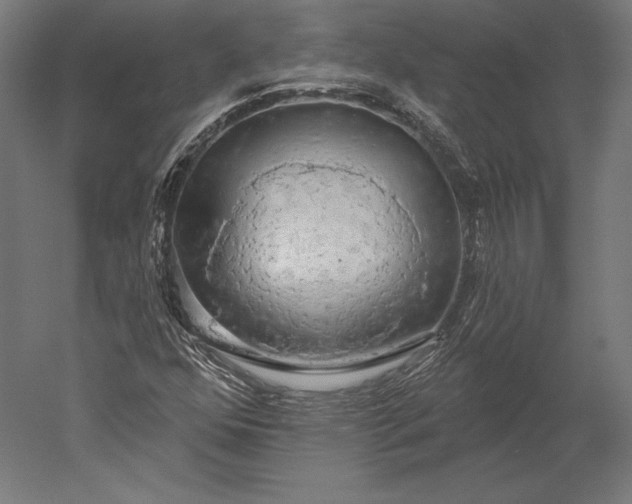 X0000051261352200507011708