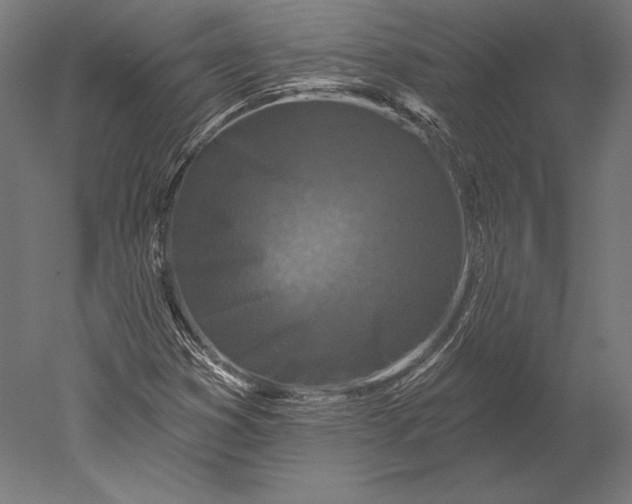 X0000051261353200507011708