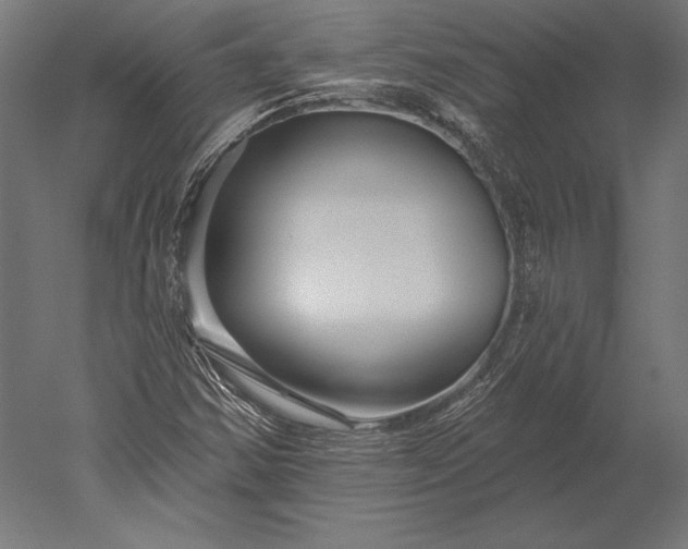 X0000051261354200507011707