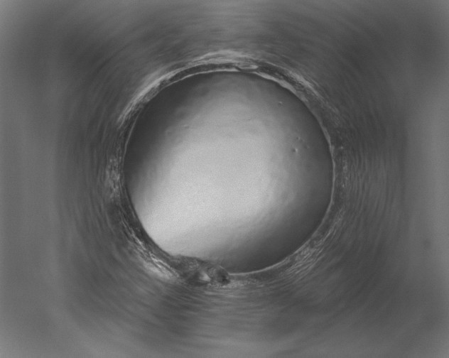 X0000051261355200507011707