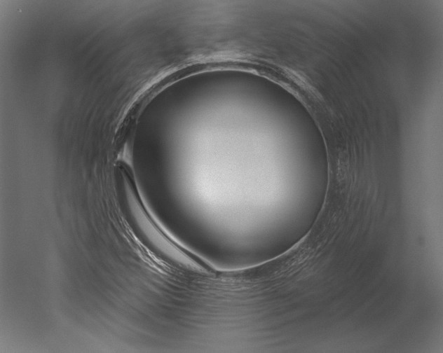 X0000051261356200507011707