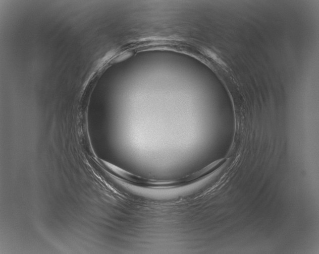 X0000051261357200507011707