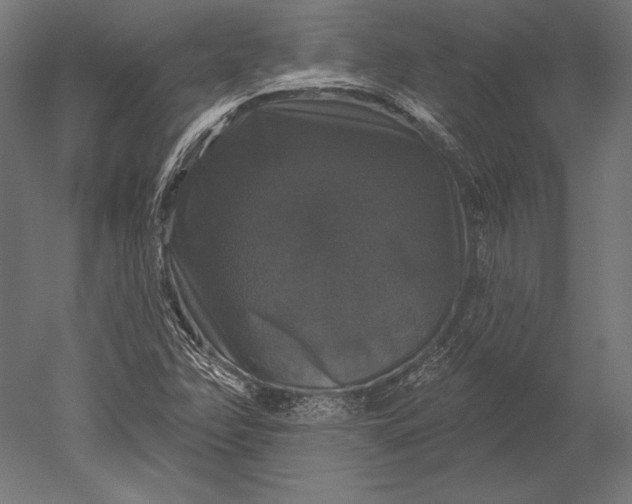 X0000051261358200507011707