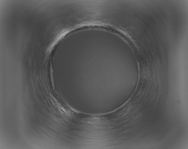 X0000051261359200507011707