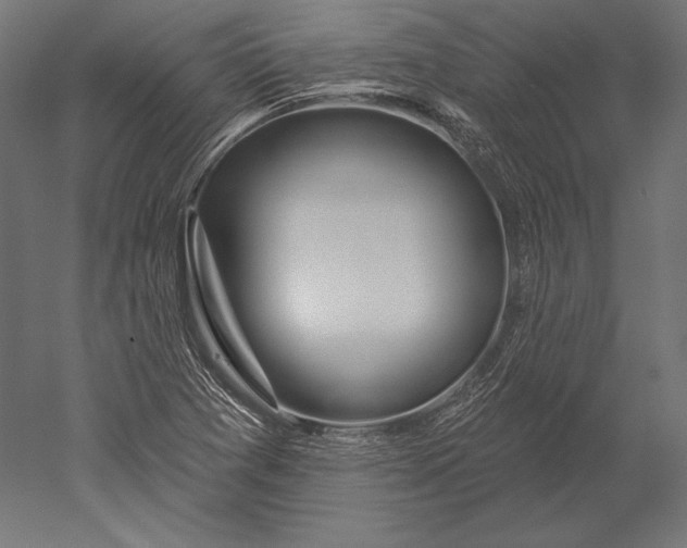 X0000051261361200507011707