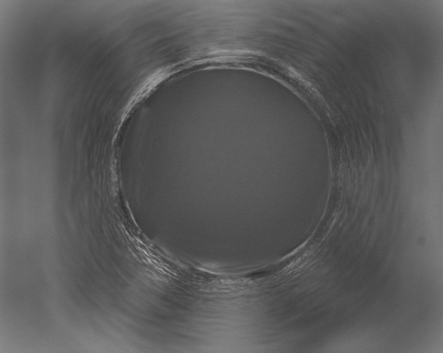 X0000051261362200507011707