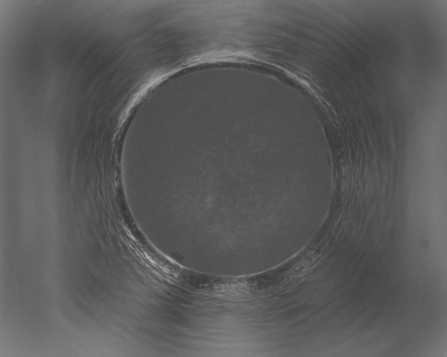 X0000051261363200507011707