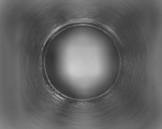 X0000051261364200507011707