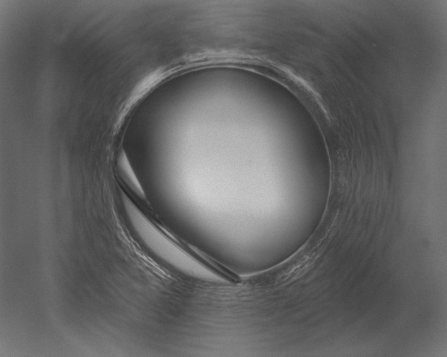 X0000051261365200507011707