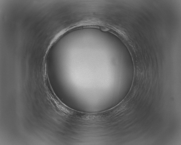 X0000051261366200507011707