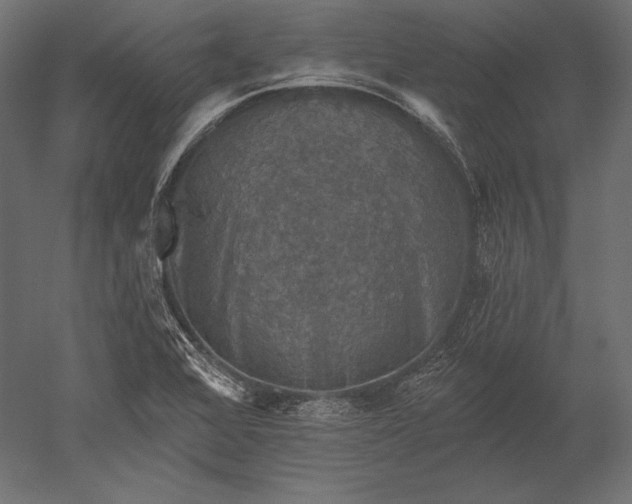 X0000051261368200507011707