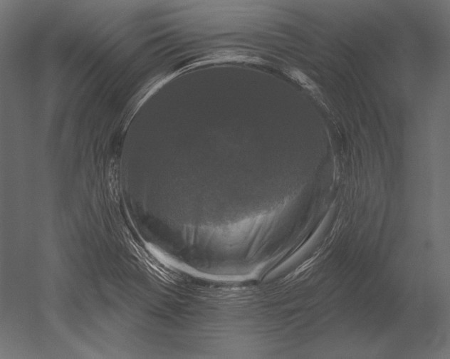 X0000051261369200507011707