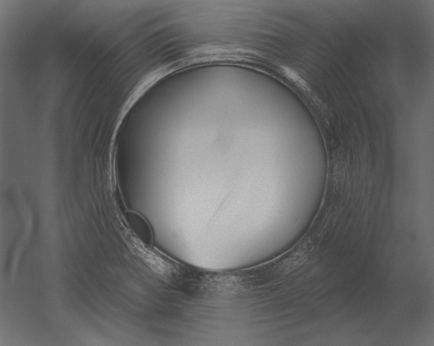X0000051261370200507011707