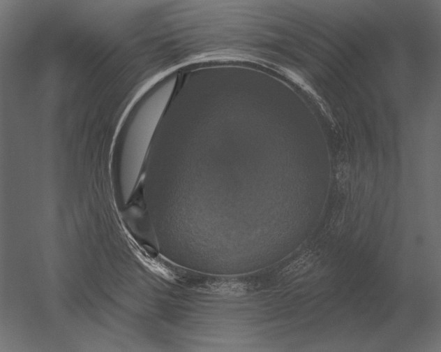X0000051261372200507011707
