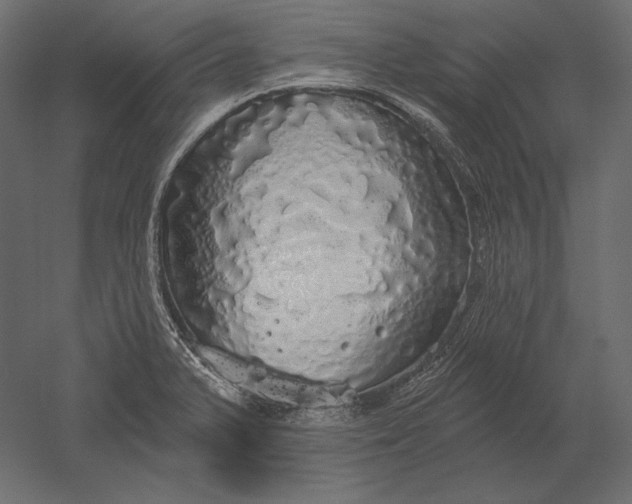X0000051261375200507011707