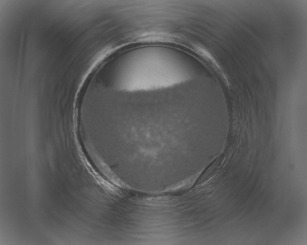 X0000051261376200507011707