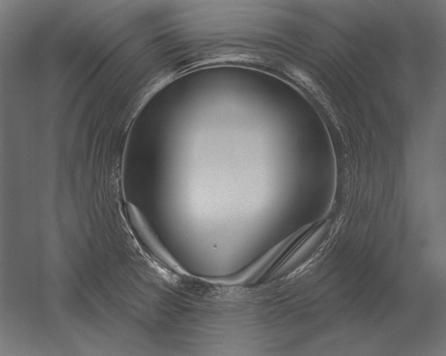 X0000051261377200507011707