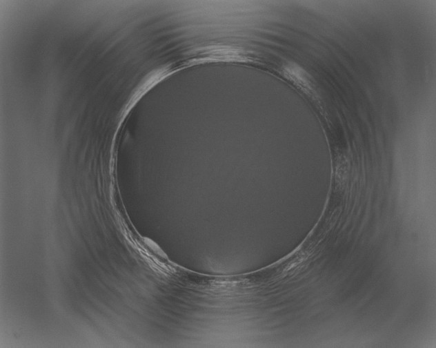 X0000051261378200507011707