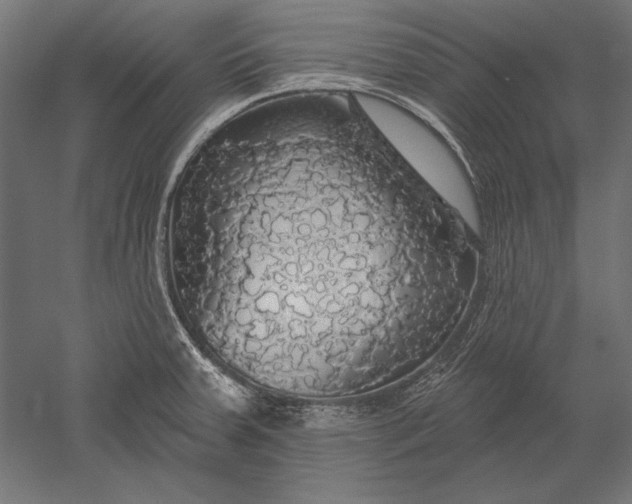 X0000051261379200507011707