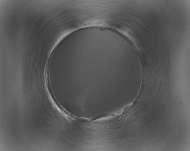 X0000051261383200507011707
