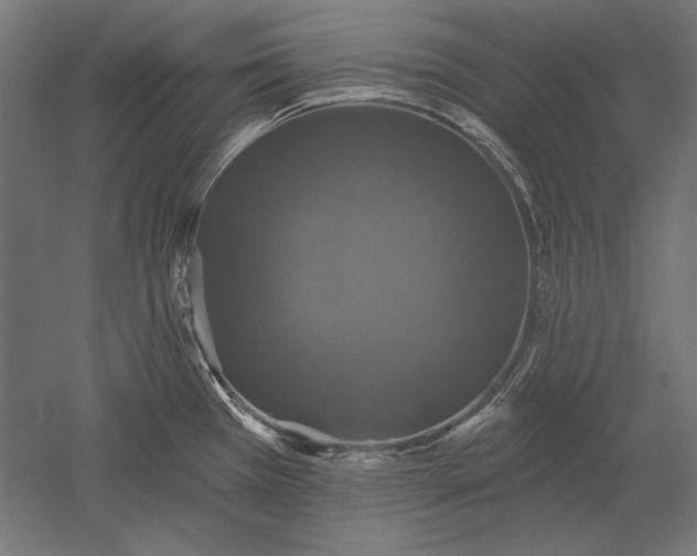 X0000051261385200507011707
