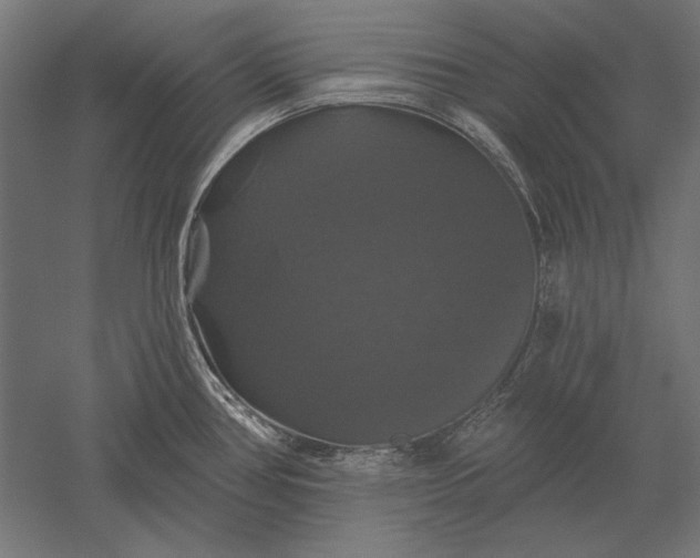 X0000051261386200507011707