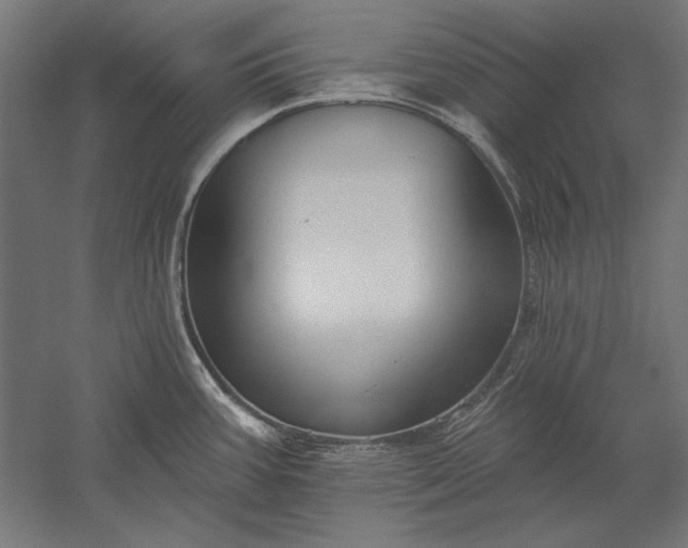 X0000051261387200507011707