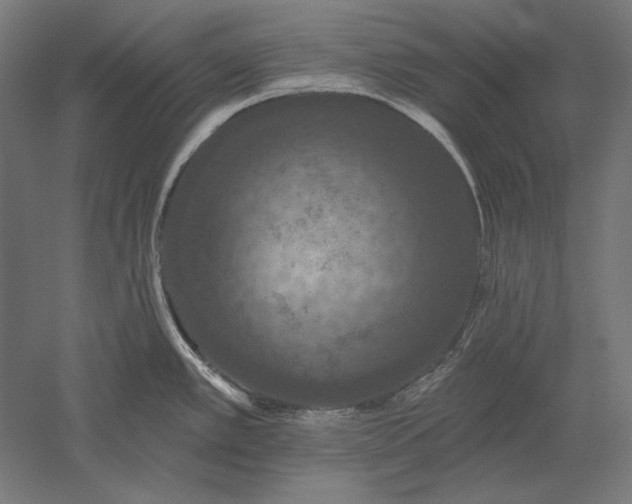X0000051261389200507011707